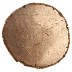 1/4 Stater Yoke Sunflower