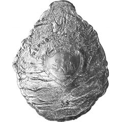 5 Dollars Pearl Oyster
