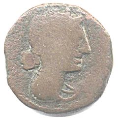As with bull NERONKEN