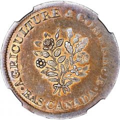 1 Sou Montreal - 21 cherry leaves / no shamrocks