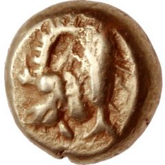 Hemihekte
