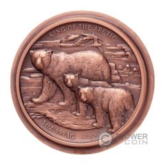 5000 Francs CFA King of the Arctic, reverse copper pattern