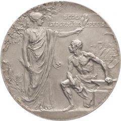 Award medal for the Industry