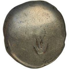 Stater