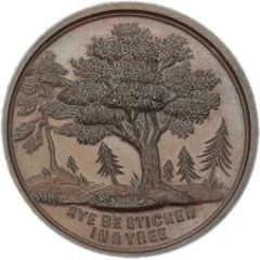 Award Scottish Arboricultural Society, bronze, 35mm