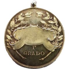 Educational medal of merit Grado I