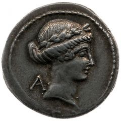 Denarius C. Considius Paetus, C•CONSIDI PAETI