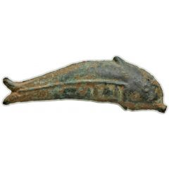 Dolphin