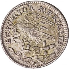 1/2 Real Profile Eagle