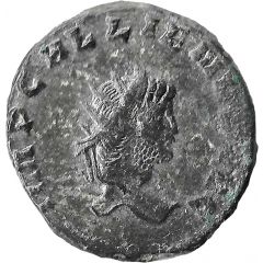 Antoninianus - Gallienus APOLLINI CONS AVG, Griffin, Rome