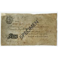 5 Pounds White, 1793 issue