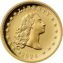 1 Dollar Flowing Hair