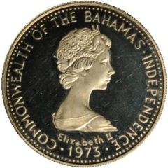 100 Dollars Independence