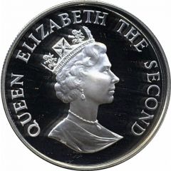 50 Pence - Elizabeth II WWF, Silver Proof Issue