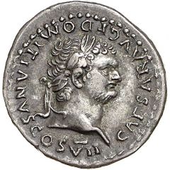 Denarius - Domitian PRINCEPS IVVENTVTIS, Vesta