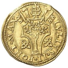 1 Fiorino di Camera - Julius II