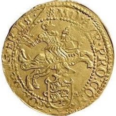 1/2 Gold Rider