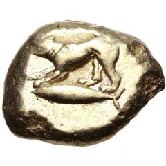 Stater