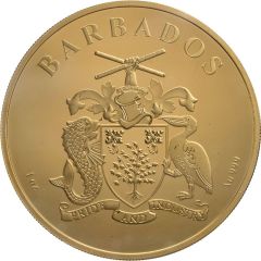 10 Dollars Flamingos