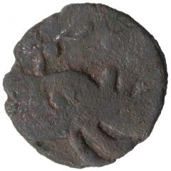 Puli anonymous Rhinoceros