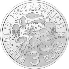 3 Euros Swell Shark