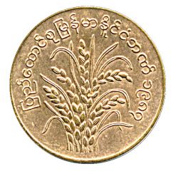 5 Pyas FAO