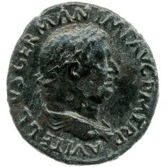Dupondius or As - Vitellius S C