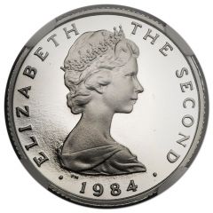 1 Pound - Elizabeth II Castletown, Platinum Proof Piedorf