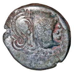 Drachm - Bhattaraka