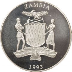 250 Kwacha Red-Breasted Swallow