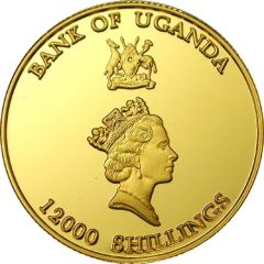 12 000 Shillings Mountain spirit