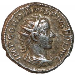 Antoninianus - Gordian III P M TR P IIII COS II P P, Apollo