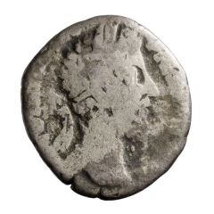 Denarius - Commodus P M TR P XI IMP VIII COS V P P, Felicitas