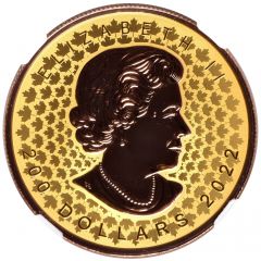 200 Dollars - Elizabeth II Super Incuse GML