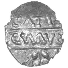 Silver Unit - Aunt Cost Aunt Cost Catus Cnavo