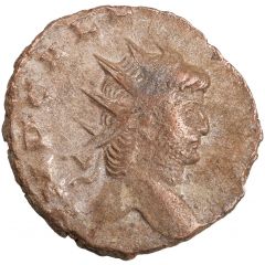 Antoninianus - Gallienus P M TR P VII COS