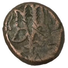 1 Falus - Shujah Shah Kabul Mint