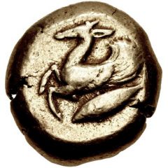 Stater