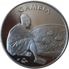 Medal - United Nations Gambia