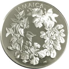 Medal - United Nations Jamaica