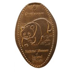 Elongated coin - Smithsonian National Museum of Natural History Bear