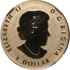 1 Dollar - Elizabeth II SML fractionnal set, 1/20 oz