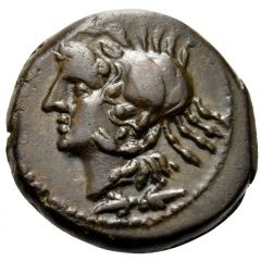 1/4 Æ Drachm