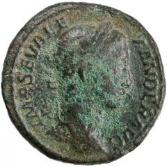 As - Severus Alexander P M TR P VIII COS III P P S C