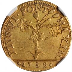 1 Doppia - Pius VI