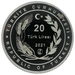 20 Lira Avicenna