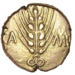 Gold Stater - Cunobelin Cunobelinus Classic Left Type