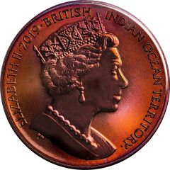 2 Pounds - Elizabeth II Red-footed booby, Titanium