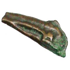 Dolphin