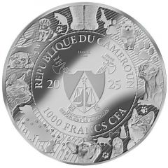 1000 Francs CFA Firefighter cats